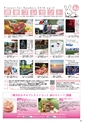 月刊ぷらざ茨城版 2018年4月号