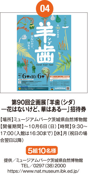 無料招待券 ※入湯税150円がかかります≪提供≫ホロルの湯