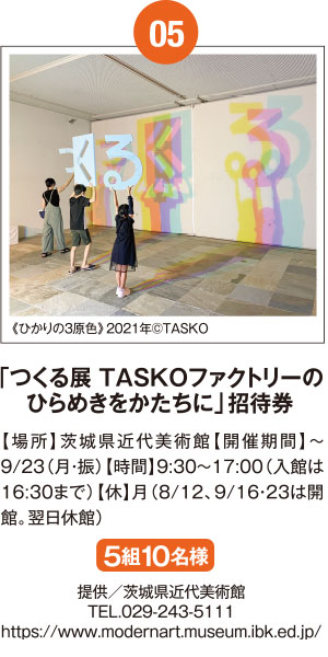 苔玉・テラリウム作り無料体験≪提供≫正直や