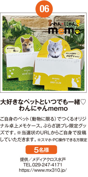 ニュータッチ ばんどう太郎 坂東みそ煮込みうどん（３個セット）≪提供≫ヤマダイ株式会社